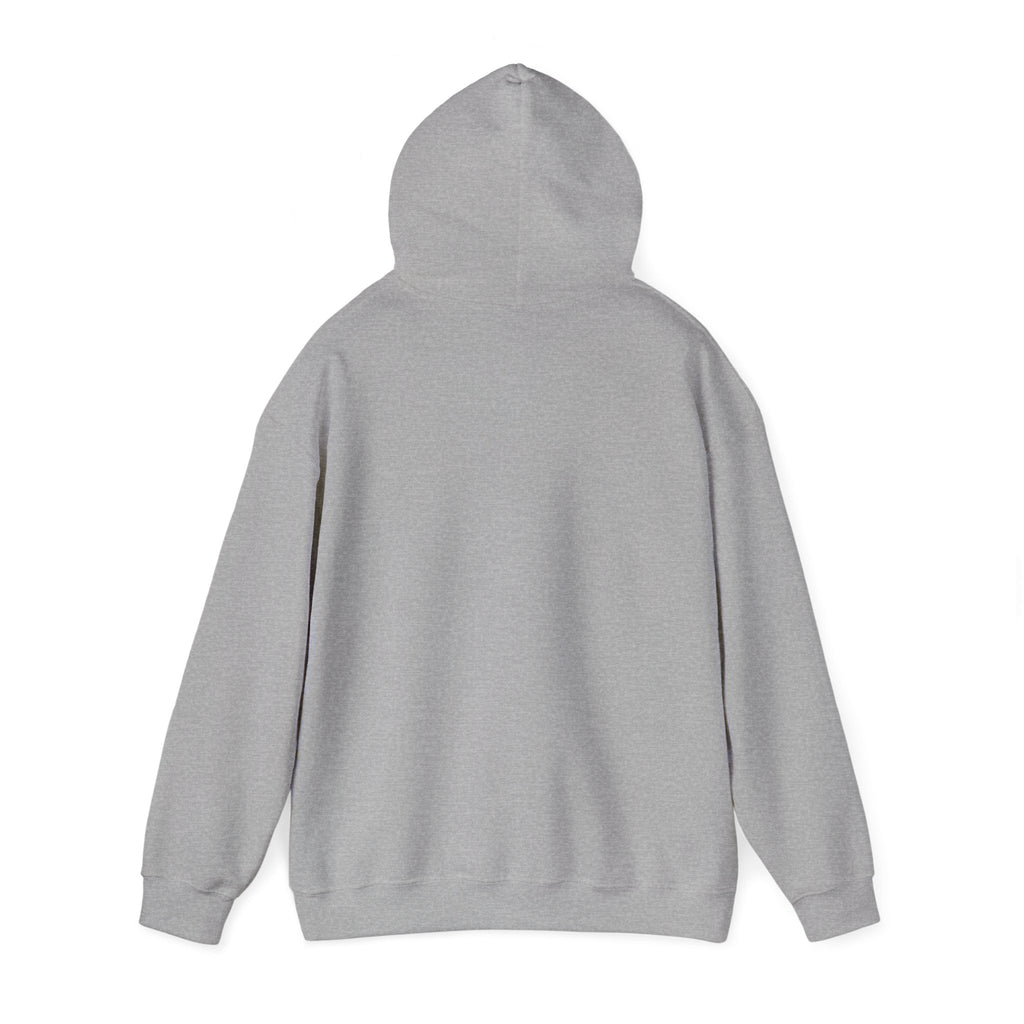 OTTR Hoodie Grey