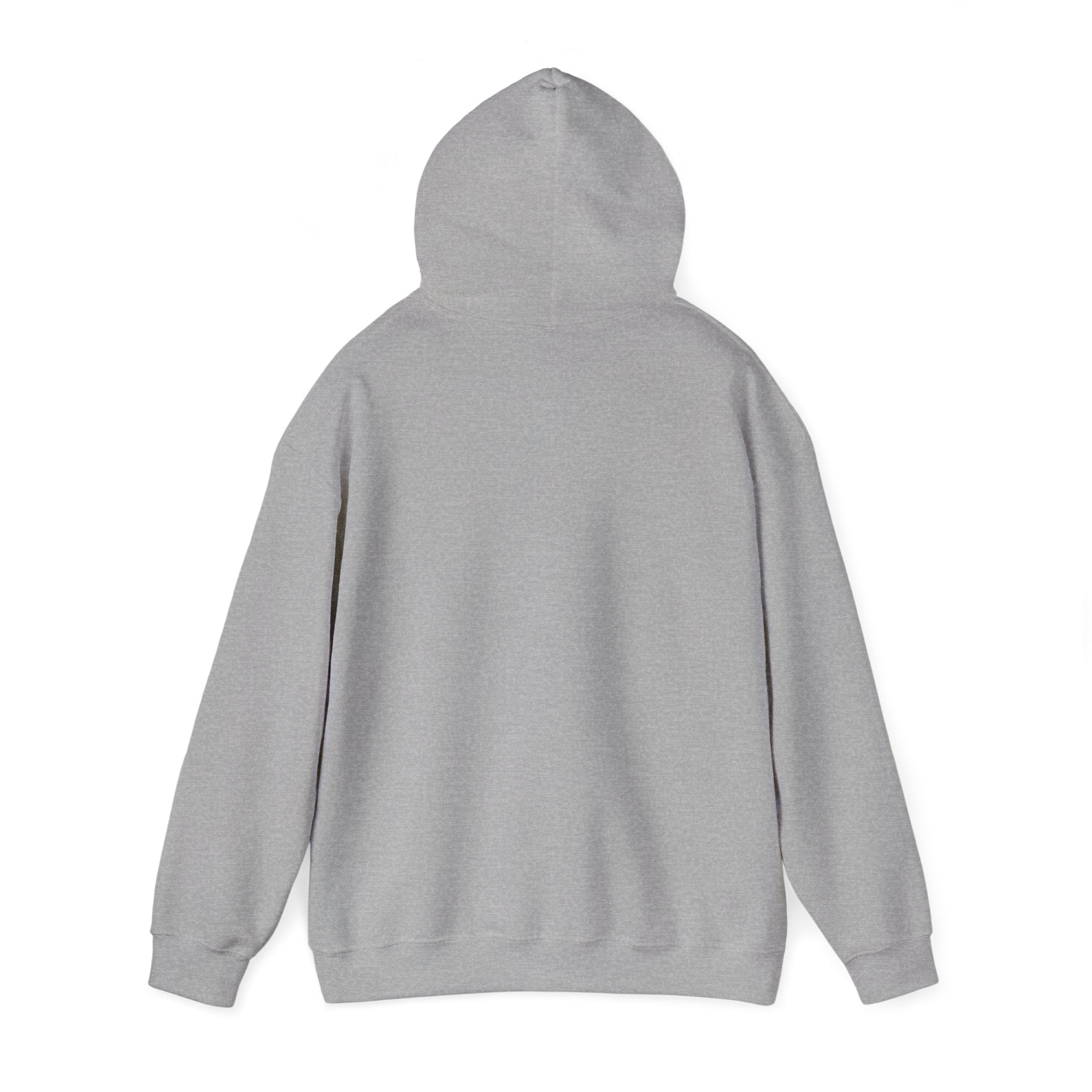 OTTR Hoodie Grey
