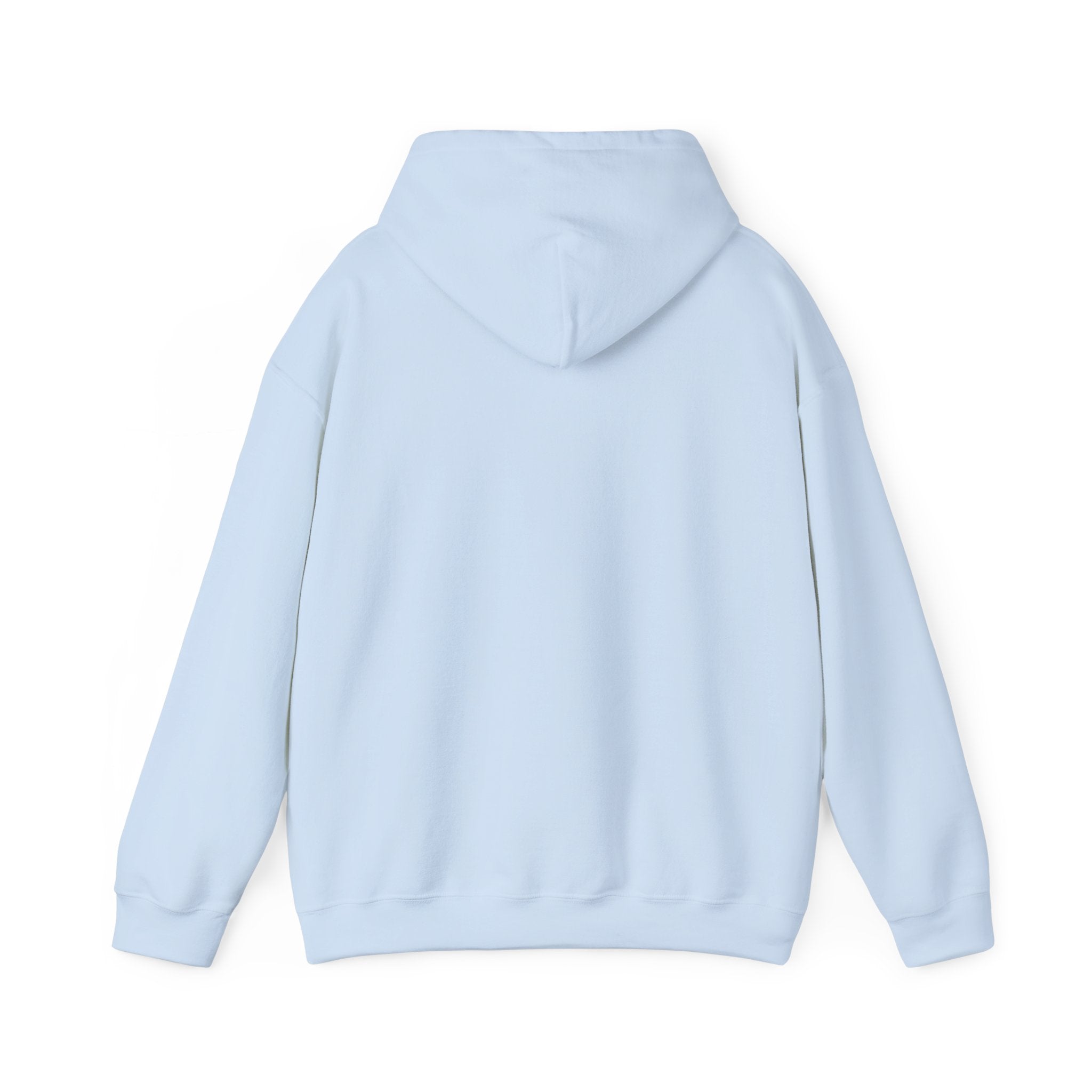 OTTR Hoodie Light Blue