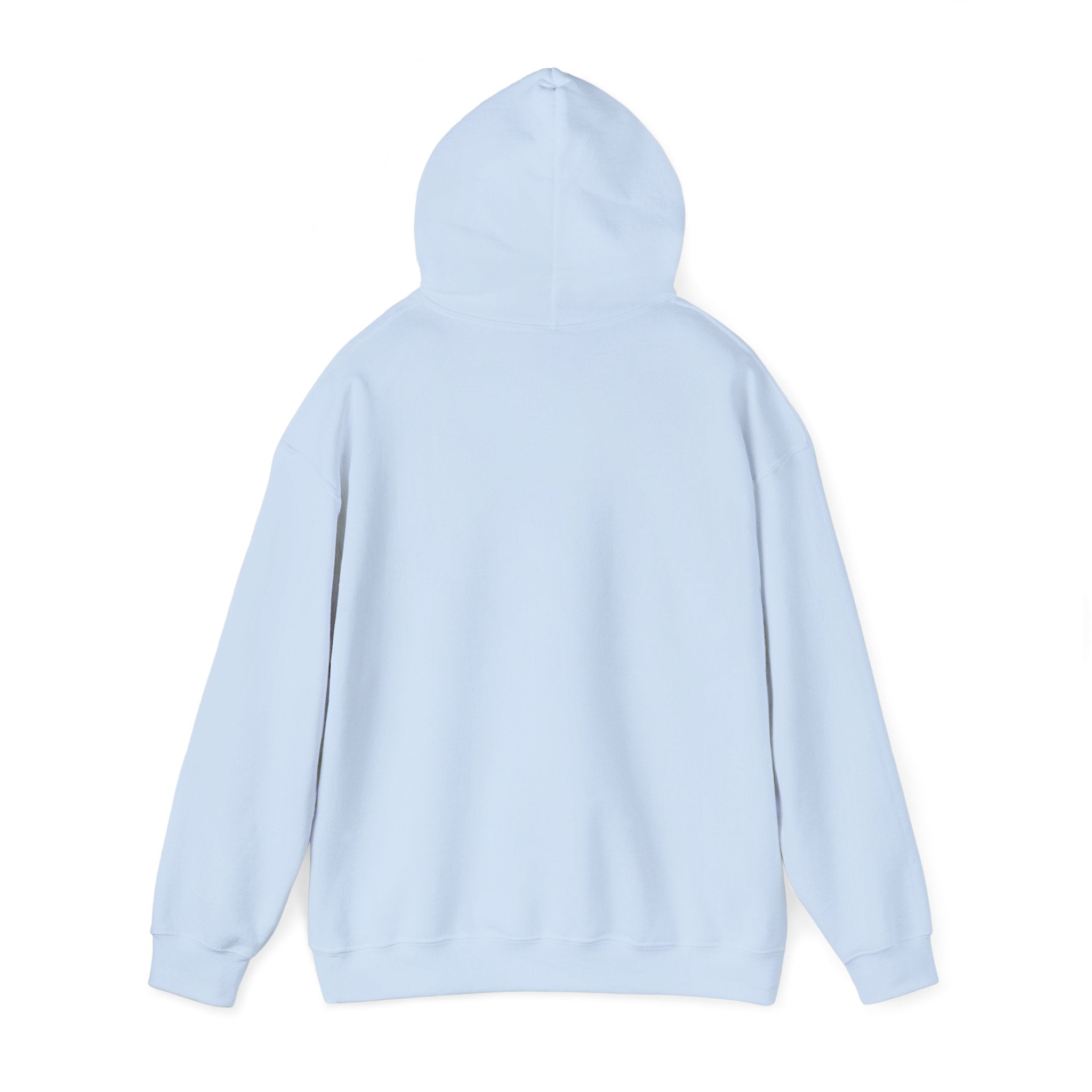 OTTR Hoodie Light Blue