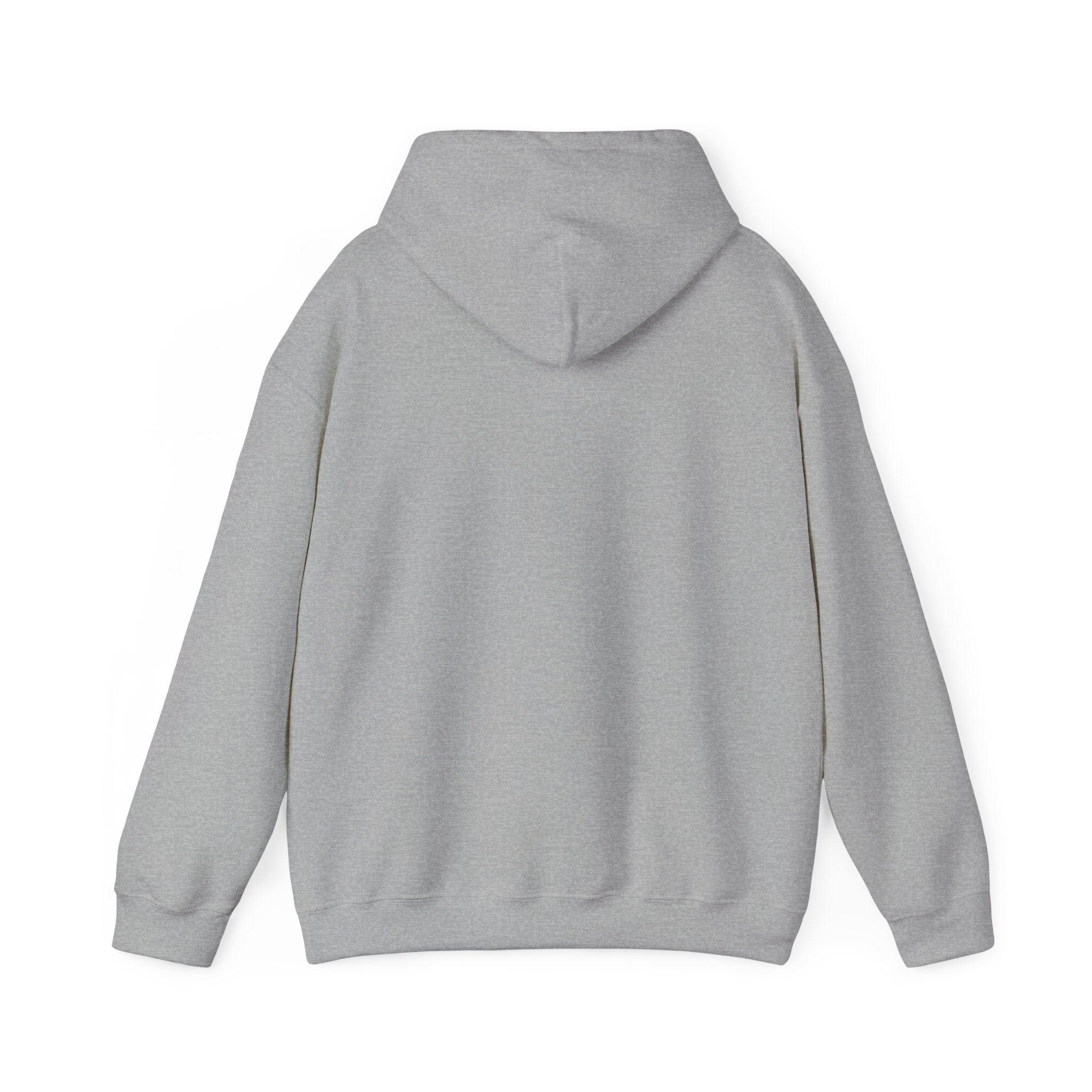 OTTR Hoodie Grey
